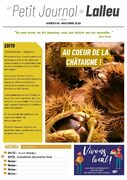 n°58 – Le P’tit Journal de Lalleu – Novembre 2020